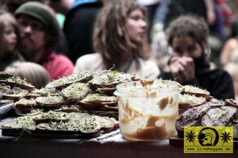 16. Reggae Jam Festival - Bersenbrueck 30. Juli bis 01. August 2010 (22).JPG